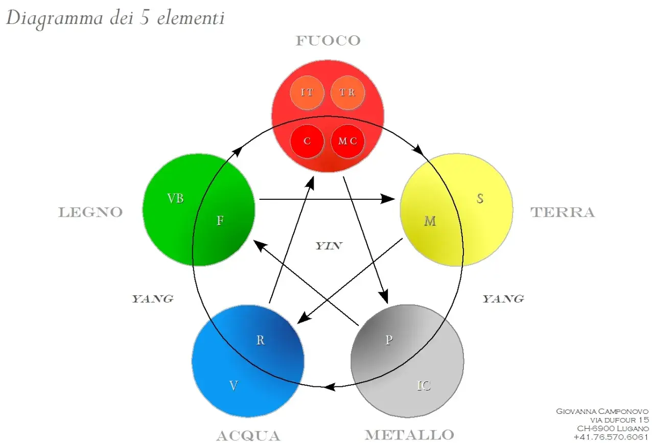 Diagramma dei 5 elementi: Fuoco, Legno, Acqua, Metallo, Terra. Illustra cosa sono i meridiani energetici e le loro interconnessioni.