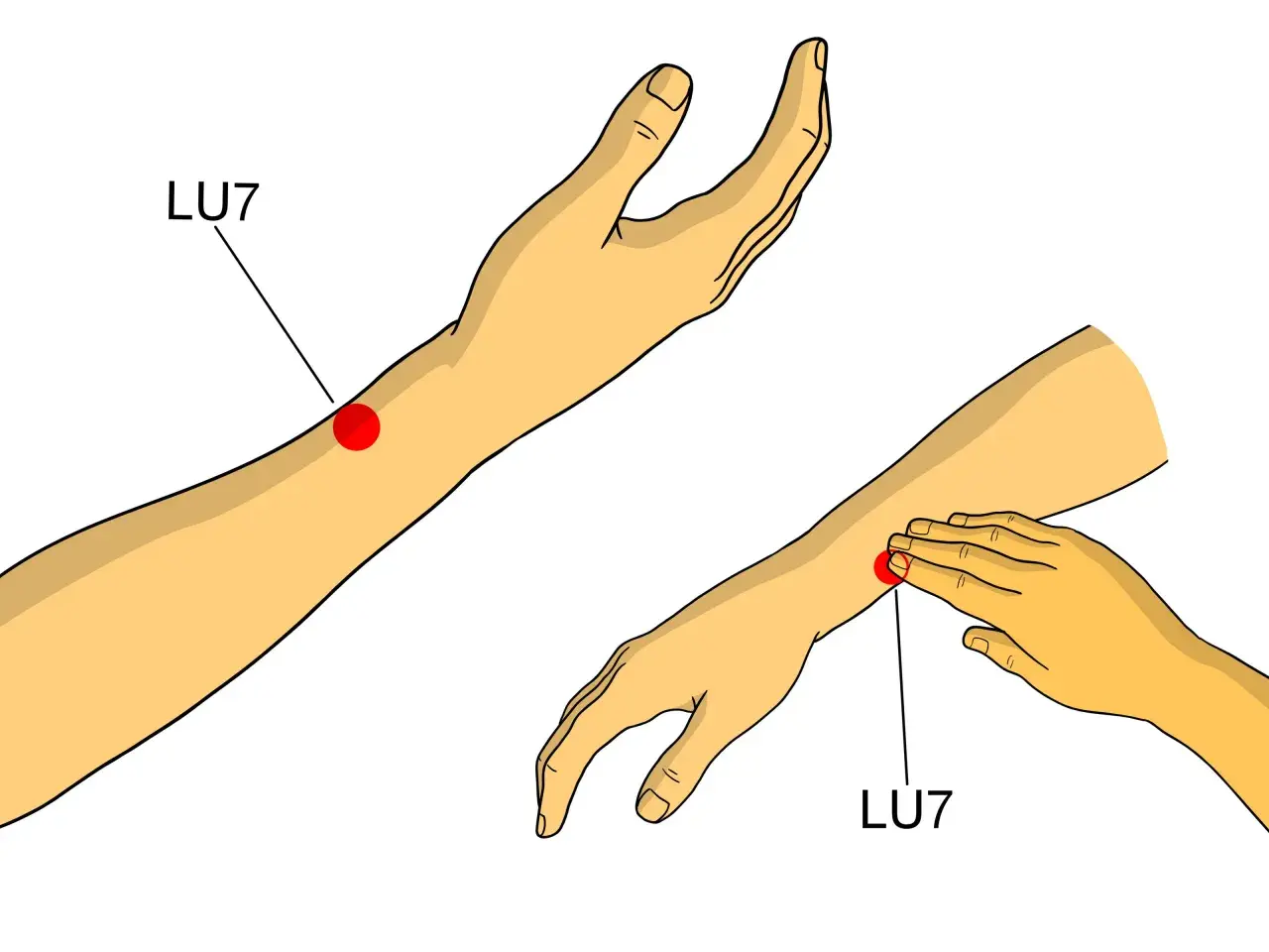 Punti digitopressione per ansia: il punto LU7 sul polso, indicato da un cerchio rosso, può aiutare a calmare la mente.