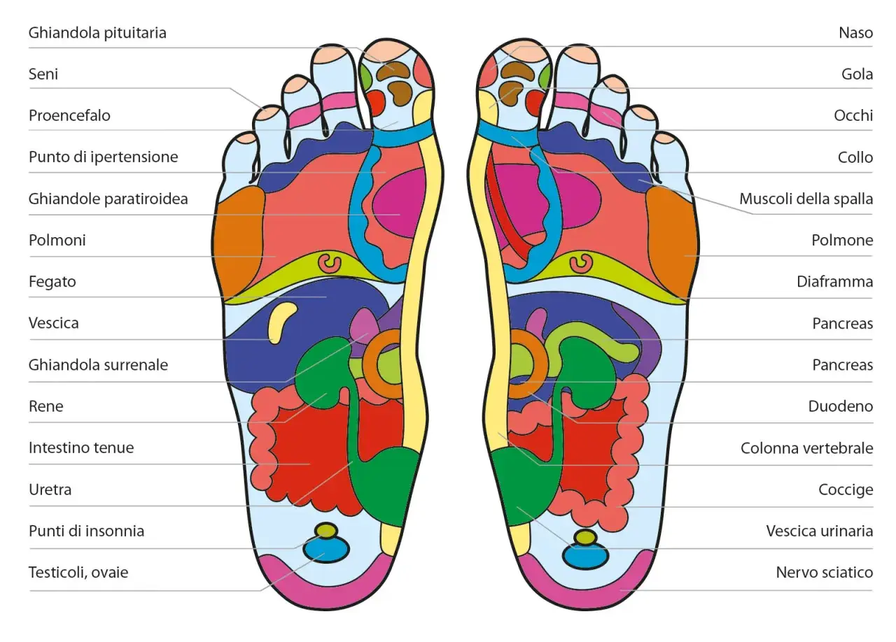 Mappa dei piedi per la riflessologia plantare. Punti utili per il reflusso gastroesofageo e altri disturbi.