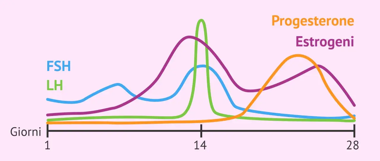 Grafico ormonale del ciclo mestruale: FSH, LH, Estrogeni e Progesterone. Utile per capire il riflessologia plantare ciclo.