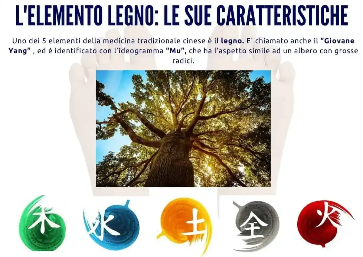 L'elemento legno, simbolo di crescita e vitalità, si riequilibra con la forza della natura. Simboli cinesi rappresentano i 5 elementi.