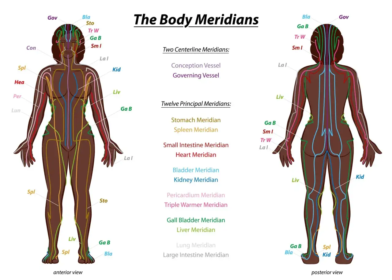 Diagramma dei meridiani del corpo. La medicina cinese collega i reni alla paura, mostrando i percorsi energetici.