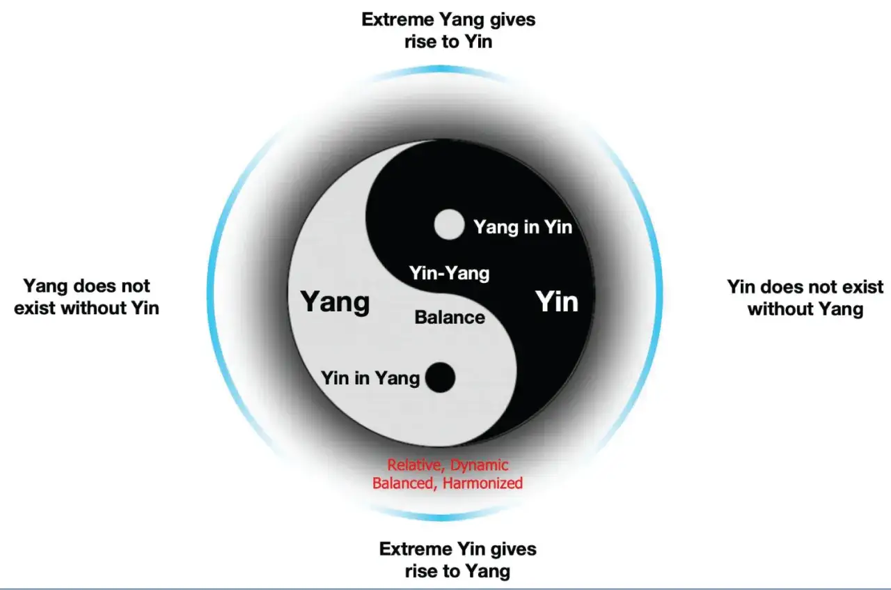 Il simbolo Yin-Yang, con le sue parti Yin e Yang in equilibrio dinamico, illustra il concetto di jing yang.