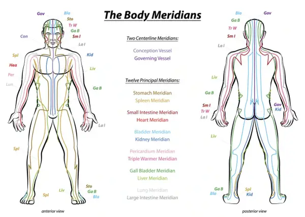 Schema dei meridiani agopuntura, con viste anteriori e posteriori del corpo umano che illustrano i percorsi energetici.