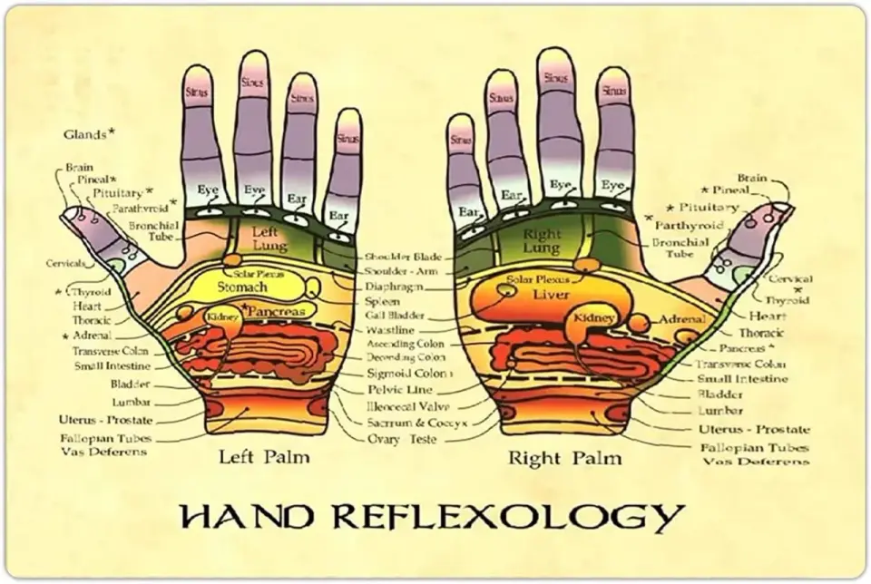 Riflessologia della mano, come praticarla con sicurezza
